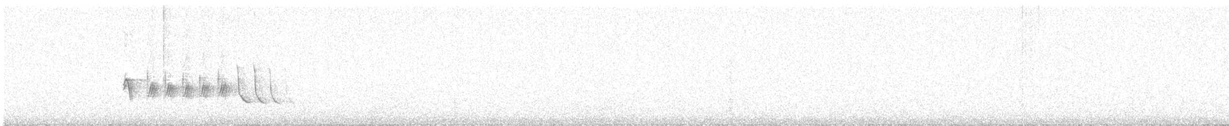 Тауї плямистий - ML616382329