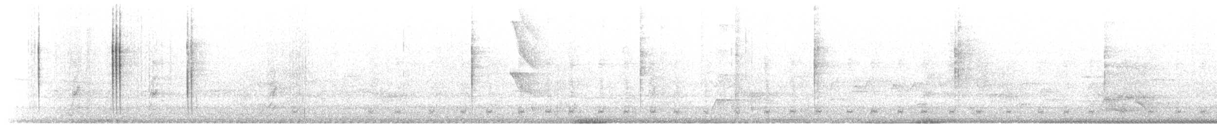 kolibřík ryšavý - ML616387353