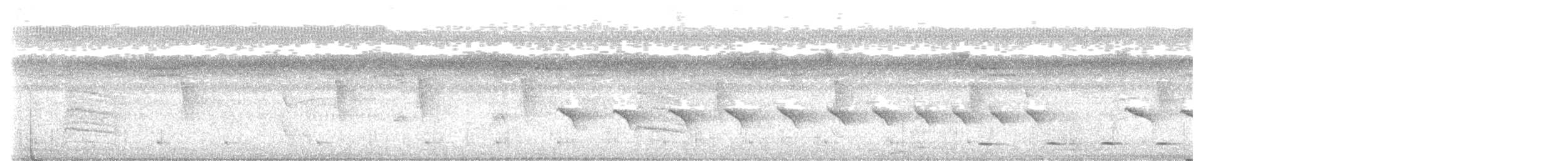 Nacktstirn-Ameisenvogel - ML616388343