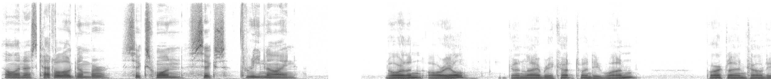 Baltimore Oriole - ML61639