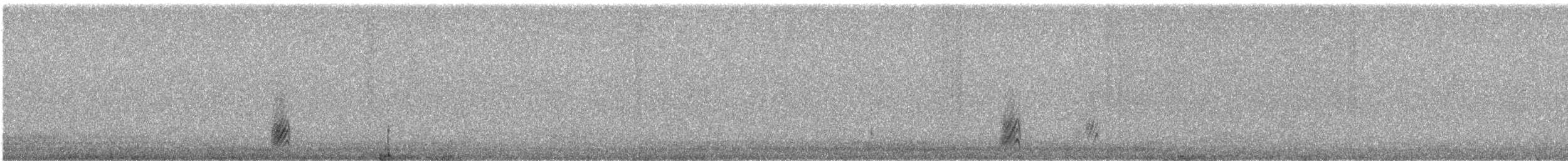 Kara Gagalı Saksağan - ML616390552
