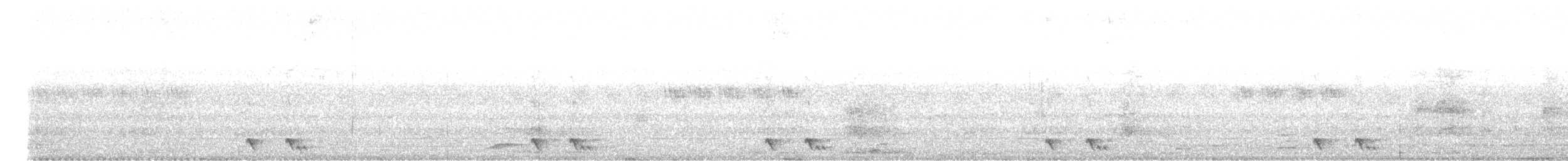 Philippinennachtschwalbe - ML616392794