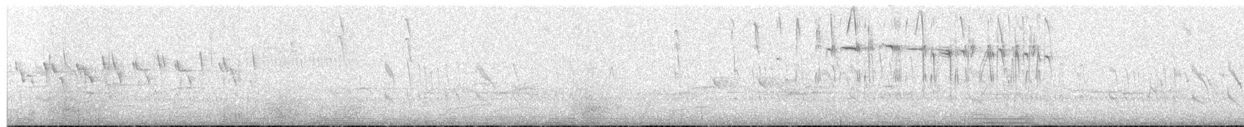 シロボシムジアマツバメ - ML616394544