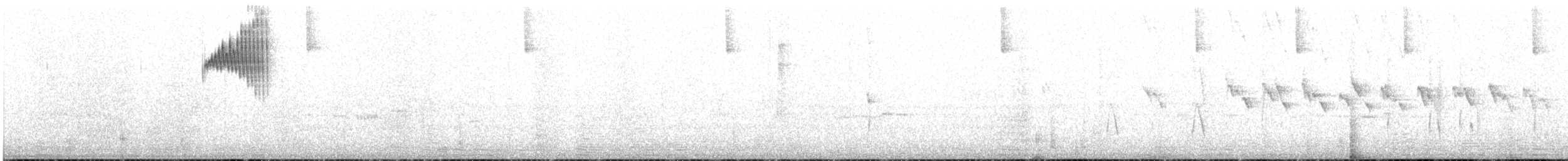 kolibřík hyacintový - ML616394637
