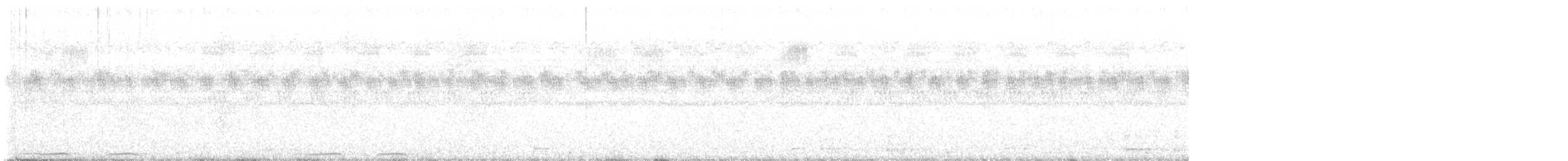 holub černošíjný - ML616395429