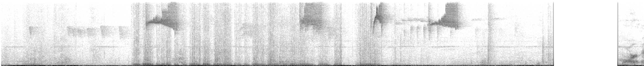 kolibřík hyacintový - ML616396481