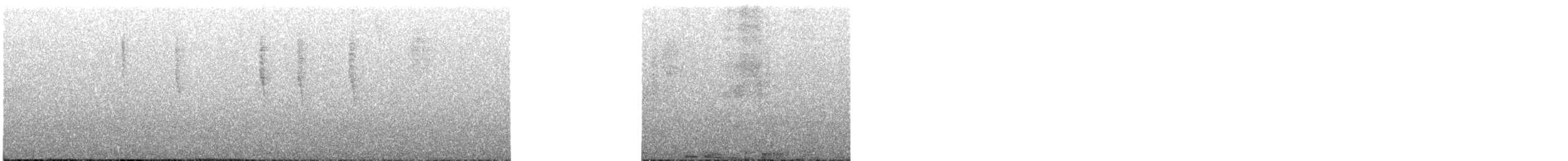 Violet-tailed Sylph - ML616397325