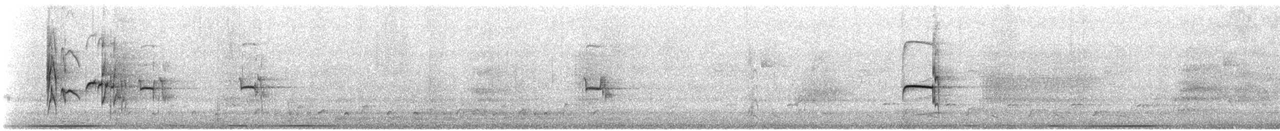 Тиранчик-тонкодзьоб північний - ML616401261