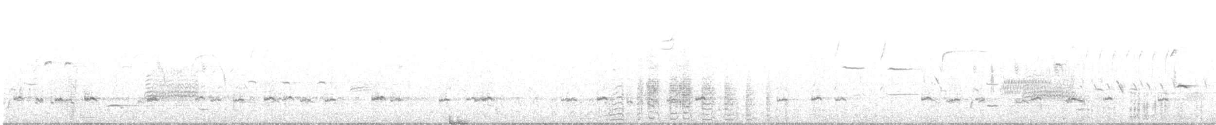 小水鴨 - ML616401317