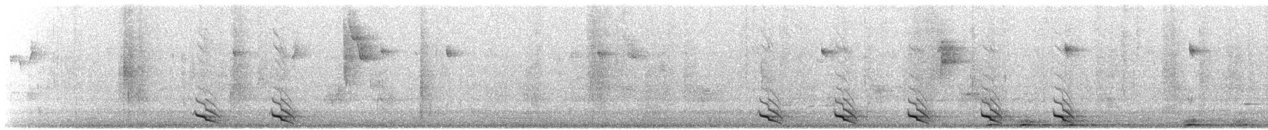 Trogon montagnard - ML616402252