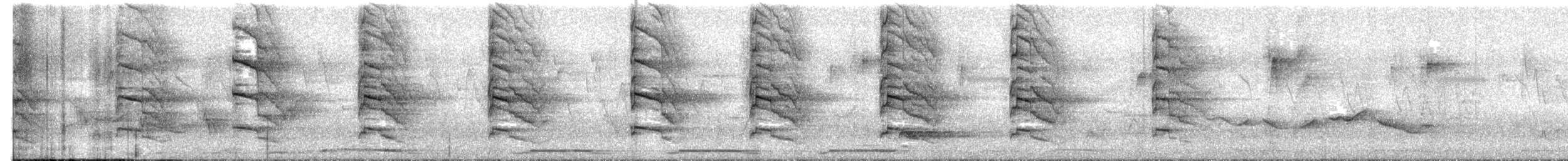 Pic canente - ML616405469