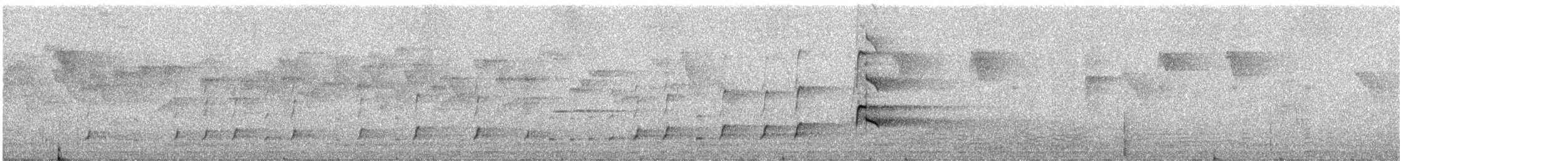 dravci/sokoli sp. - ML616408160