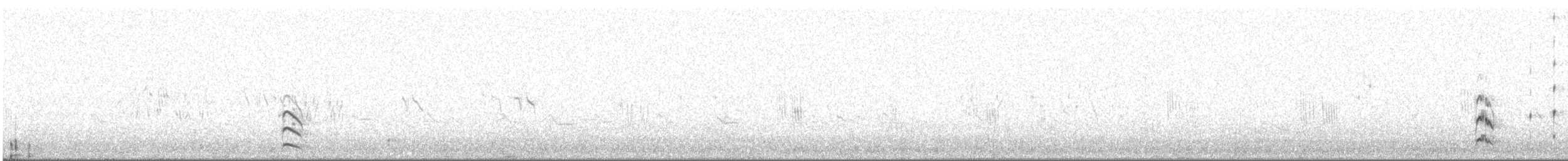 Small Pratincole - ML616411057