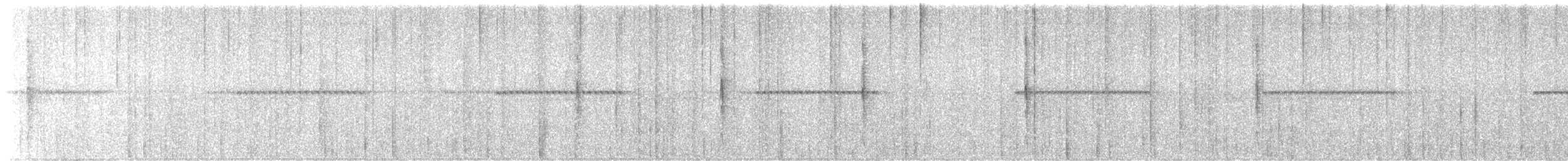 Abanico Moteado de Fiyi (rufilateralis) - ML616411133