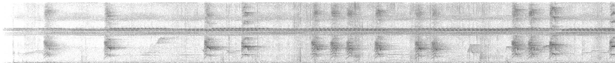 Northern Wattled-Honeyeater - ML616413399