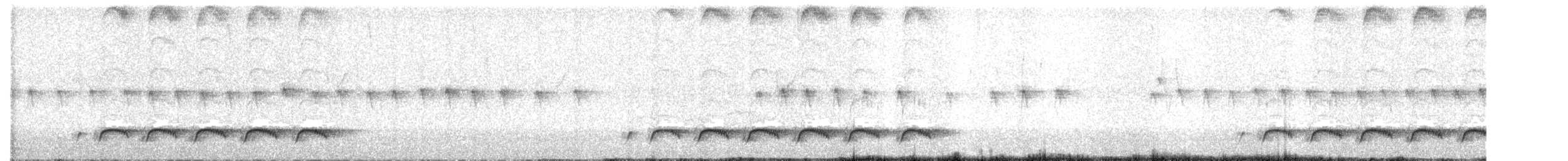 Paradoxornis fléché - ML616417669