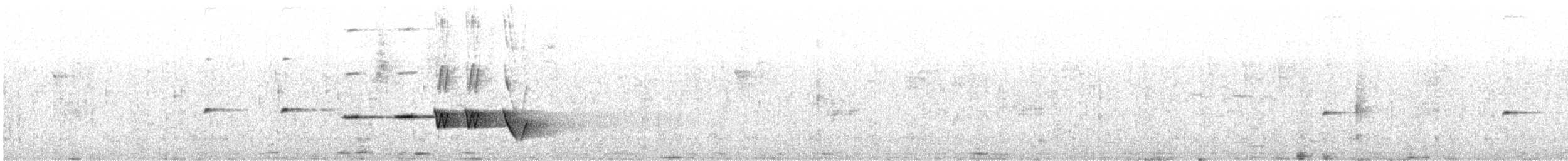 Gray-bellied Tesia - ML616418336