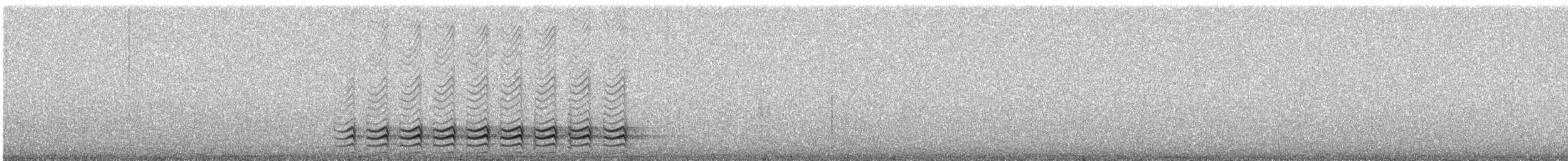 Weißbrustkleiber (carolinensis) - ML616418341