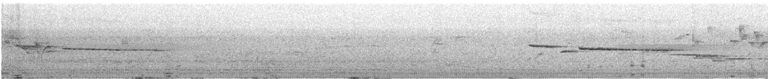 Gray-throated Babbler - ML616418345