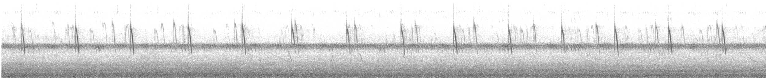 Cisticole des joncs - ML616420928