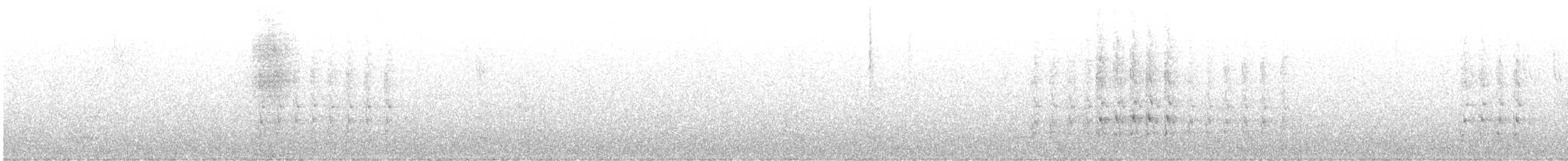 Стеллерова сойка [группа diademata] - ML616421201