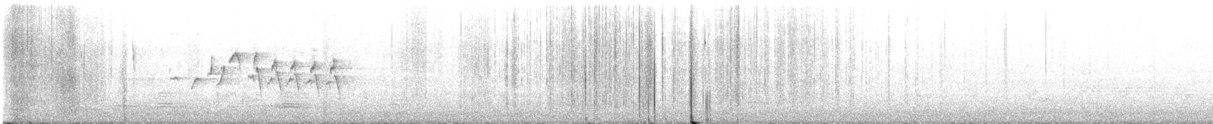 strdimil palestinský - ML616421655