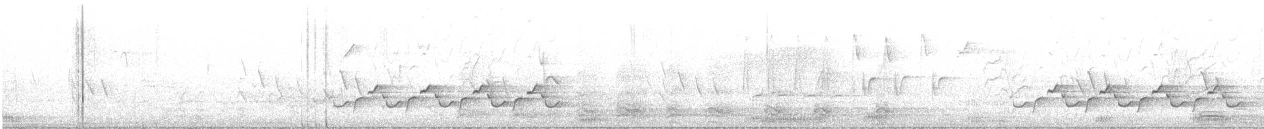 ダイサギ - ML616424998