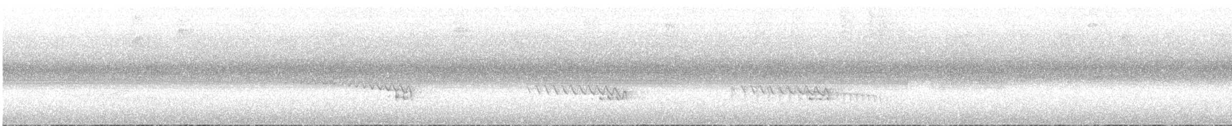 Spotted Woodcreeper (Berlepsch's) - ML616426746