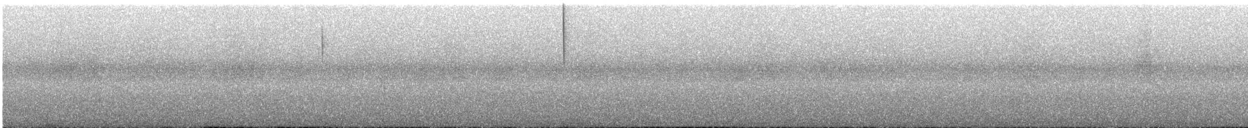 White-necked Jacobin - ML616427075