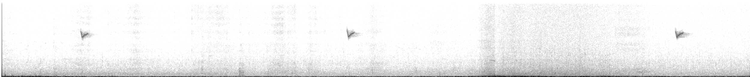kolibřík tolimský - ML616428482