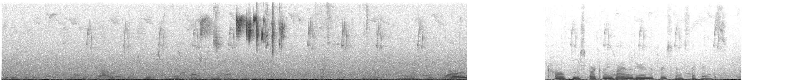 Sparkling Violetear - ML616429138