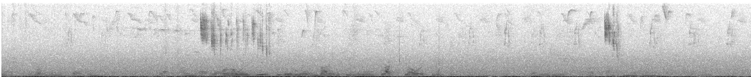 Sparkling Violetear - ML616429141