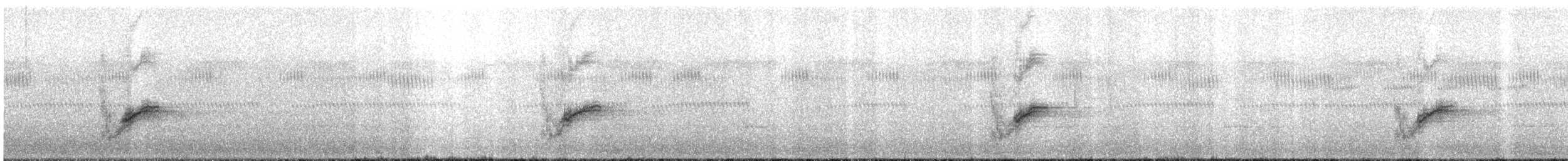 pipilo rudooký (ssp. erythrophthalmus/canaster) - ML616433477