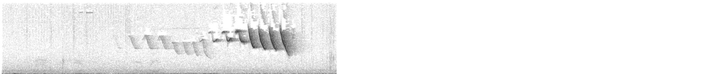 Mangrove Yellow Warbler (Greater Antillean) - ML616434046