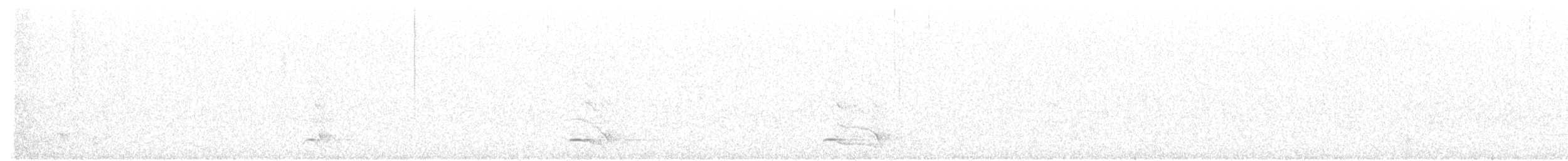 Northern Saw-whet Owl - ML61643451