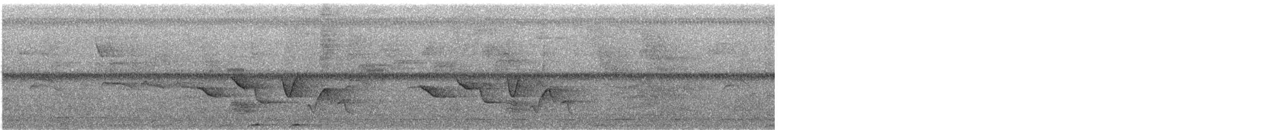 Поплітник плямистий - ML616435113