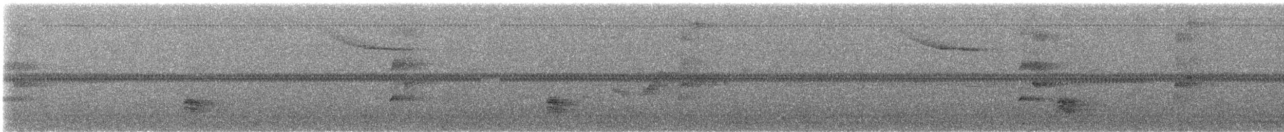 Аракарі плямистоволий - ML616435121