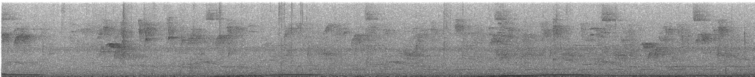 holub bledolící - ML616435928