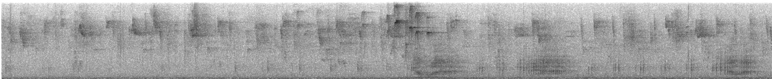 Oréophase cornu - ML616436873