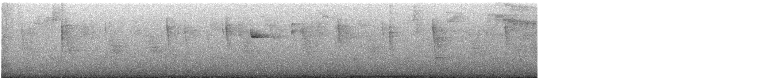 Oréophase cornu - ML616436882