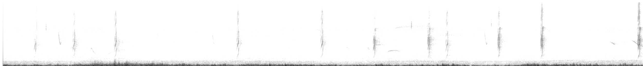 Çizgili Büyük Tiran - ML616438369