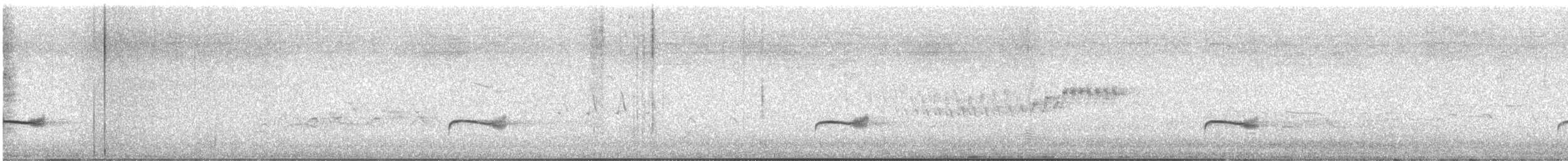 Дрізд-короткодзьоб Cвенсона - ML616438598
