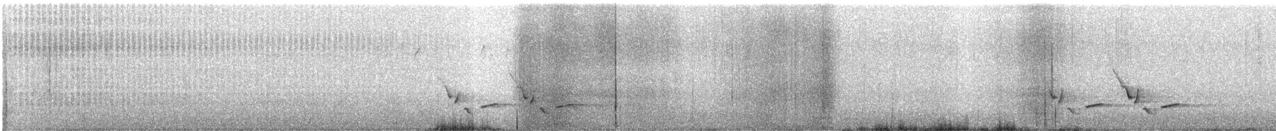 Поплітник каролінський - ML616441025