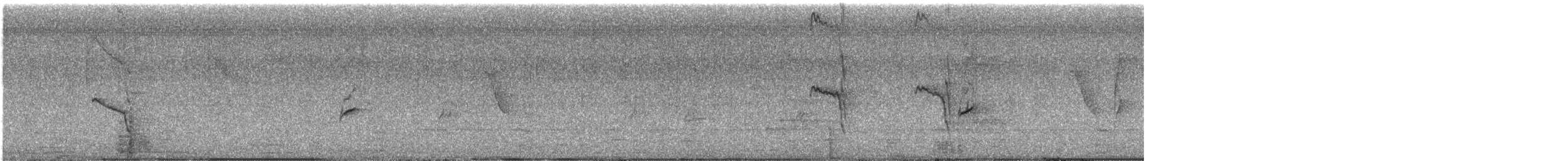 Rotscheitel-Maskentyrann - ML616442950