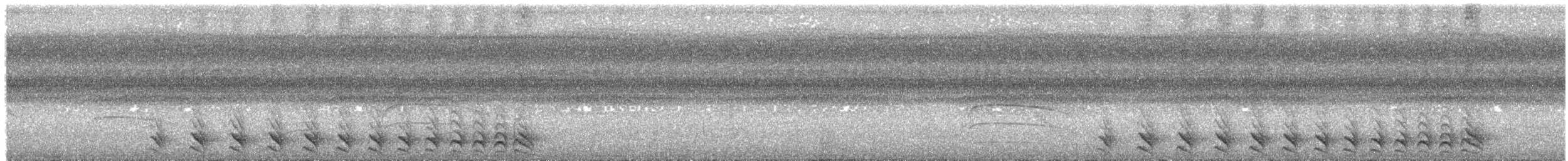 Чернополосый колючник [группа doliatus] - ML616443993