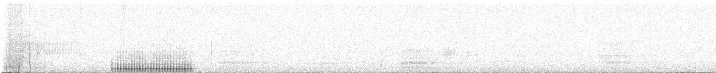 strakapoud americký [skupina harrisi] - ML616444439