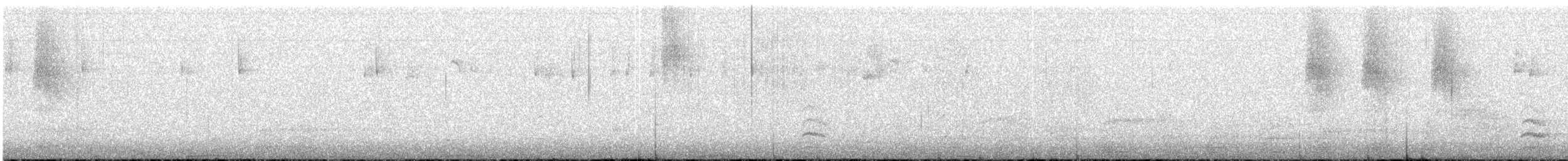 Bant Kuyruklu Güvercin [fasciata grubu] - ML616445177