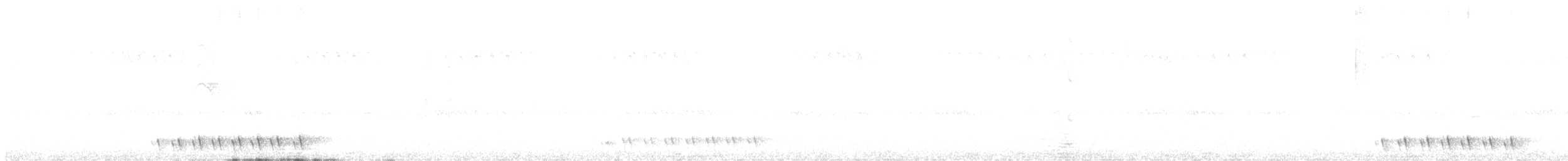 White-eared Honeyeater - ML616445199