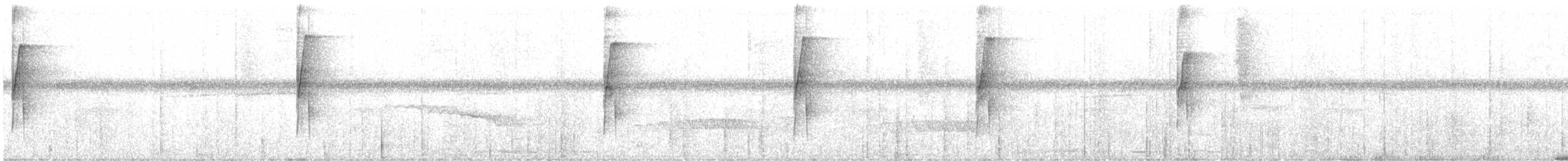 Светлогорлый тенелюб - ML616446454