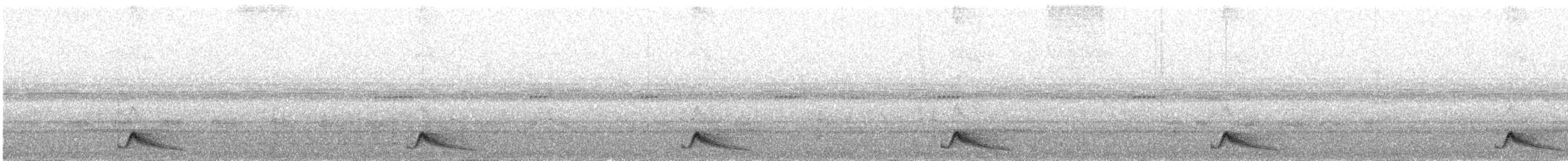 Pauraquenachtschwalbe - ML616453944